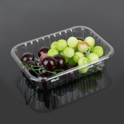 4cm Disposable Fruit Tray