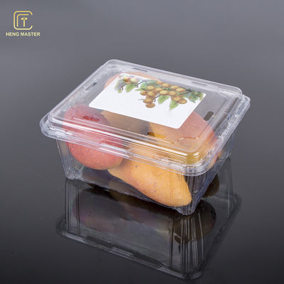 Clear 19.5*16*9cm Disposable Plastic Fruit Containers