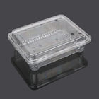 Rectangle Small 18.5*14.5*6cm Disposable Plastic Food Box