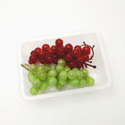 OEM Polypropylene 20*14*5.5cm Disposable Fruit Tray