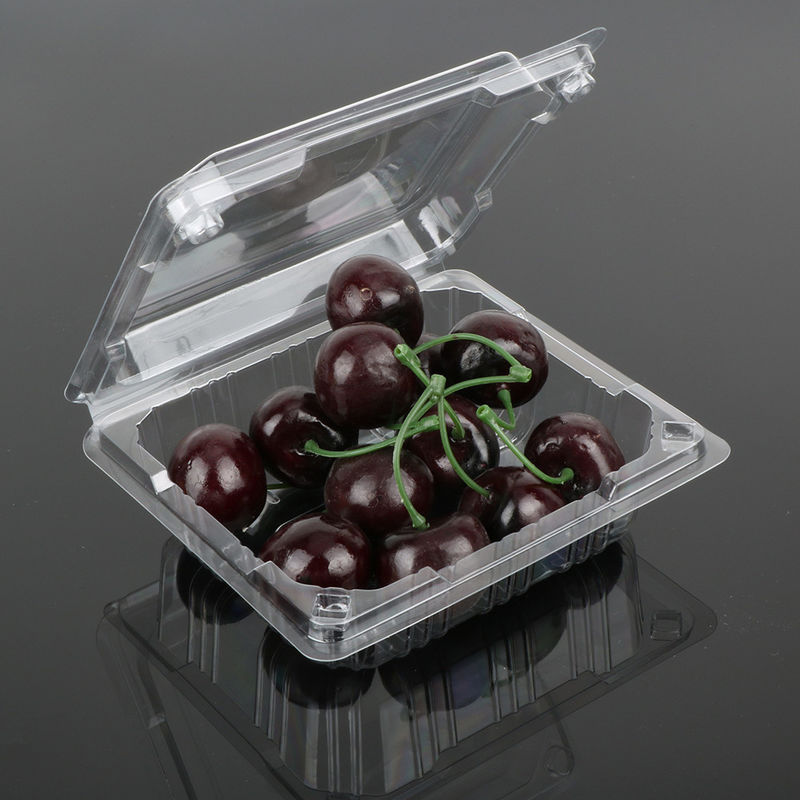 12.5cm Disposable Fruit Salad Containers