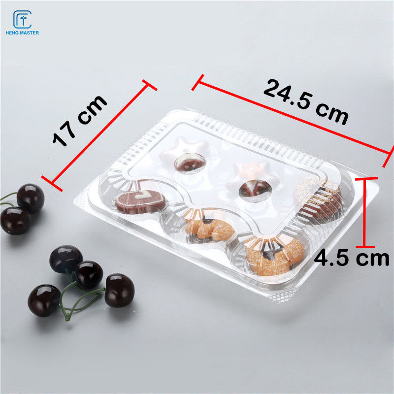 Transparent 24.5x17x4.5cm Disposable Fruit Tray
