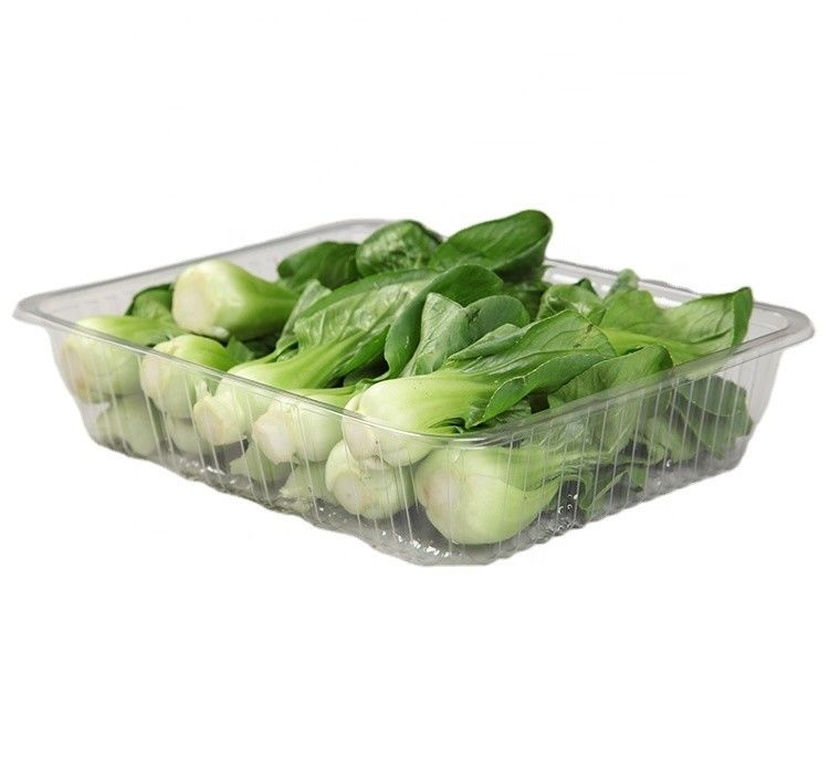 Food Grade PET 21.5*17*6cm Vegetable Packing Tray