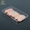 Food Grade PET 22.5*15.5*3cm Plastic Meat Tray