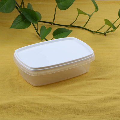 Frozen 650ml PP Square Household Large Capacity Food Crisper Container Box