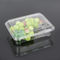 Rectangle Small 18.5*14.5*6cm Disposable Plastic Food Box