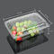 Virgin Food Grade PET 22.5cm Disposable Plastic Food Box