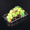 18cm Disposable Fruit Tray
