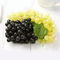 PET Colorful Disposable Plastic 25*18*2.5cm Fruit Packing Tray