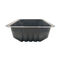 PP Microwave Safe 20*14*5.5cm Disposable Vegetable Trays